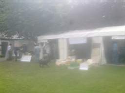 igs 2011 farmleigh 1520.jpg